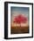 Red Bud No. 1-Thomas Stotts-Framed Art Print
