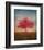 Red Bud No. 1-Thomas Stotts-Framed Art Print