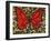 Red Butterfly-Holly Carr-Framed Giclee Print