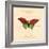 Red Butterfly-Artique Studio-Framed Art Print