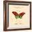 Red Butterfly-Artique Studio-Framed Art Print