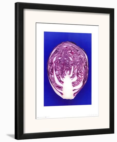 Red Cabbage, c.2001-Kit-Framed Art Print