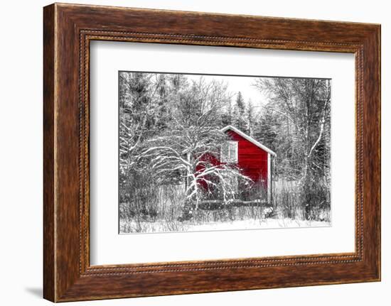 Red Cabin in the Forest-Philippe Sainte-Laudy-Framed Photographic Print