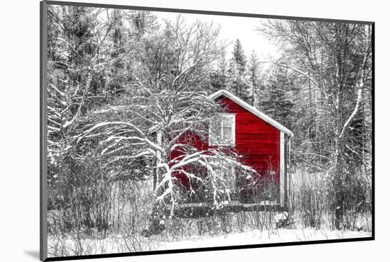Red Cabin in the Forest-Philippe Sainte-Laudy-Mounted Photographic Print