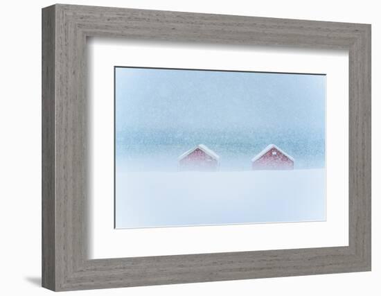 Red cabins in the mist during a heavy snowfall, Troms county, Norway, Scandinavia, Europe-Roberto Moiola-Framed Photographic Print