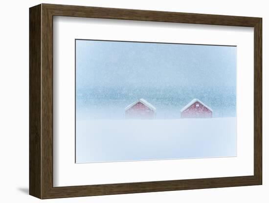 Red cabins in the mist during a heavy snowfall, Troms county, Norway, Scandinavia, Europe-Roberto Moiola-Framed Photographic Print