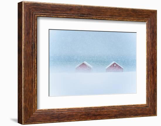 Red cabins in the mist during a heavy snowfall, Troms county, Norway, Scandinavia, Europe-Roberto Moiola-Framed Photographic Print