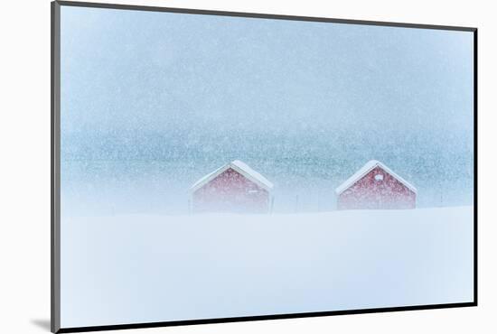 Red cabins in the mist during a heavy snowfall, Troms county, Norway, Scandinavia, Europe-Roberto Moiola-Mounted Photographic Print