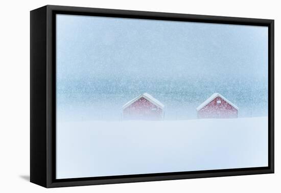 Red cabins in the mist during a heavy snowfall, Troms county, Norway, Scandinavia, Europe-Roberto Moiola-Framed Premier Image Canvas