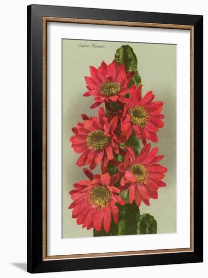 Red Cactus Flowers-null-Framed Art Print