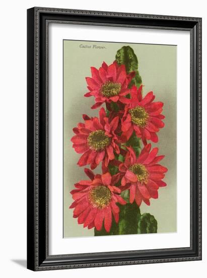 Red Cactus Flowers-null-Framed Art Print