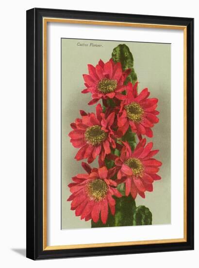 Red Cactus Flowers-null-Framed Art Print