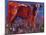 Red Calf, Cazalla De La Sierra, 1999 (Oil on Canvas)-Mark Adlington-Mounted Giclee Print