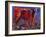 Red Calf, Cazalla De La Sierra, 1999 (Oil on Canvas)-Mark Adlington-Framed Giclee Print