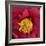 Red Camelia-Magda Indigo-Framed Photographic Print