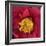 Red Camelia-Magda Indigo-Framed Photographic Print