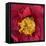 Red Camelia-Magda Indigo-Framed Premier Image Canvas