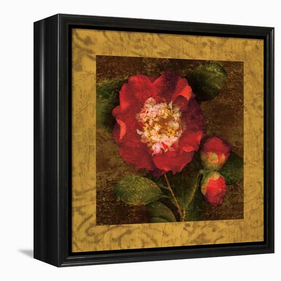 Red Camellias I-John Seba-Framed Stretched Canvas
