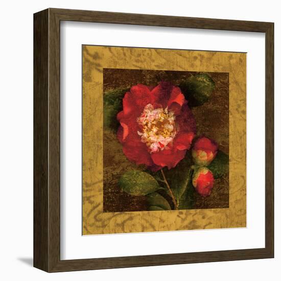 Red Camellias I-John Seba-Framed Art Print