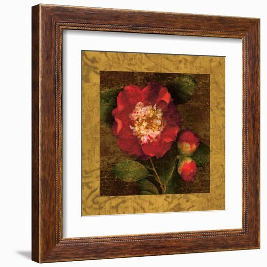 Red Camellias I-John Seba-Framed Art Print