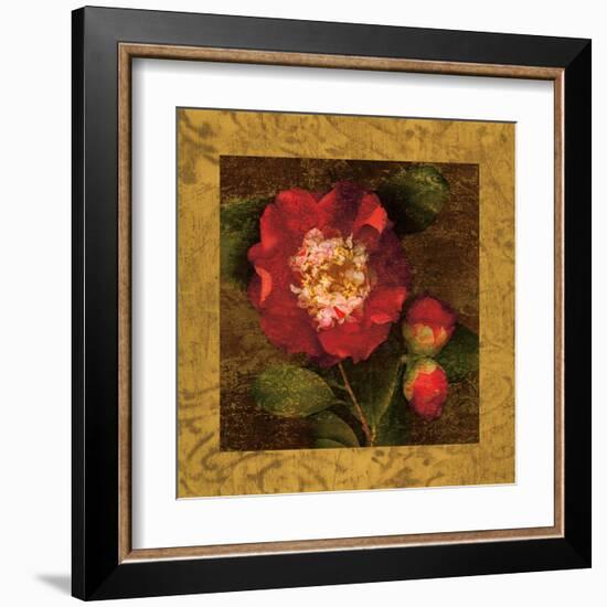 Red Camellias I-John Seba-Framed Art Print