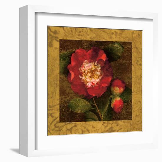 Red Camellias I-John Seba-Framed Art Print