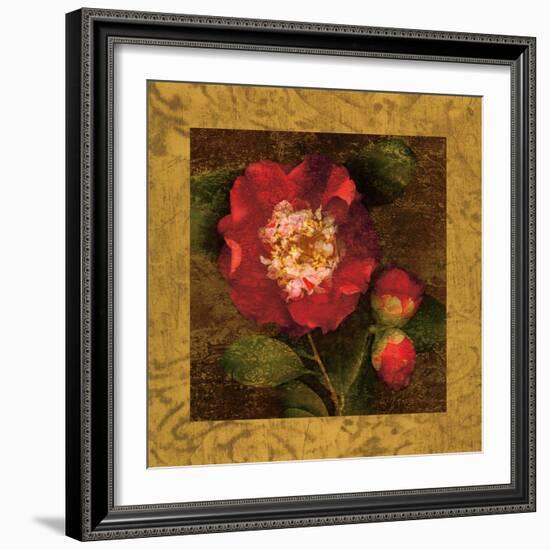 Red Camellias I-John Seba-Framed Art Print