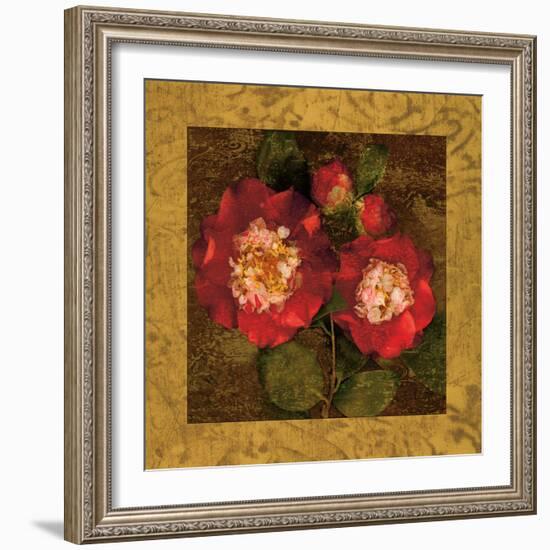 Red Camellias II-John Seba-Framed Art Print