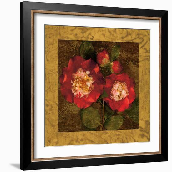 Red Camellias II-John Seba-Framed Art Print