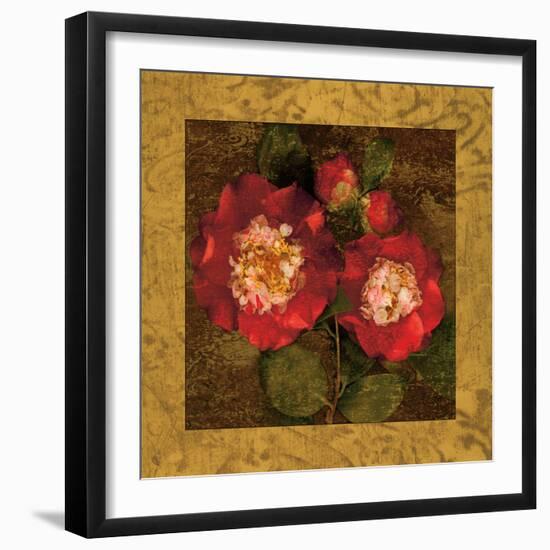 Red Camellias II-John Seba-Framed Art Print