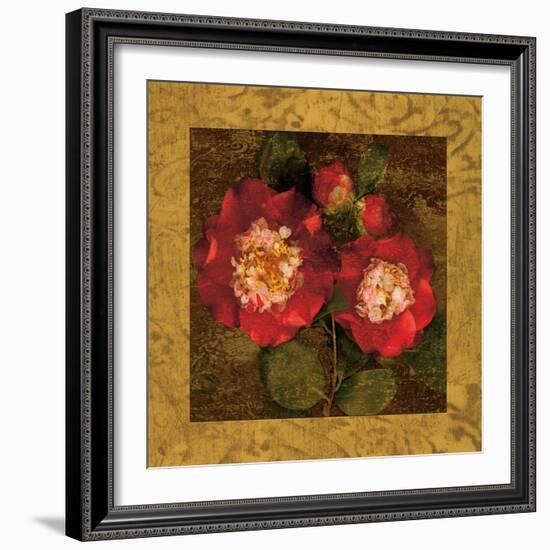 Red Camellias II-John Seba-Framed Art Print