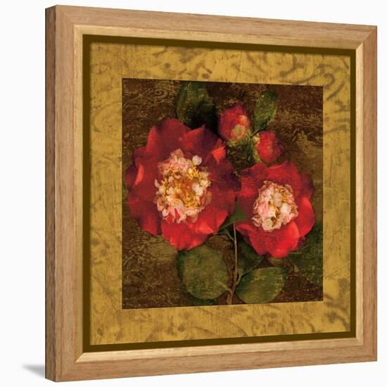 Red Camellias II-John Seba-Framed Stretched Canvas