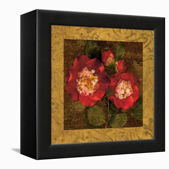 Red Camellias II-John Seba-Framed Stretched Canvas