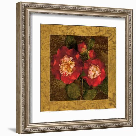 Red Camellias II-John Seba-Framed Art Print