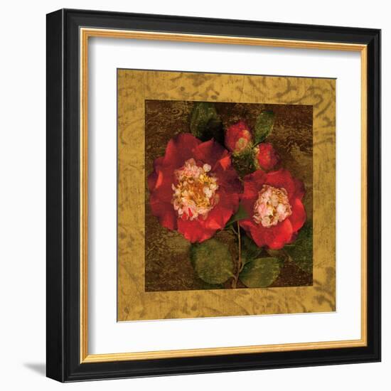 Red Camellias II-John Seba-Framed Art Print