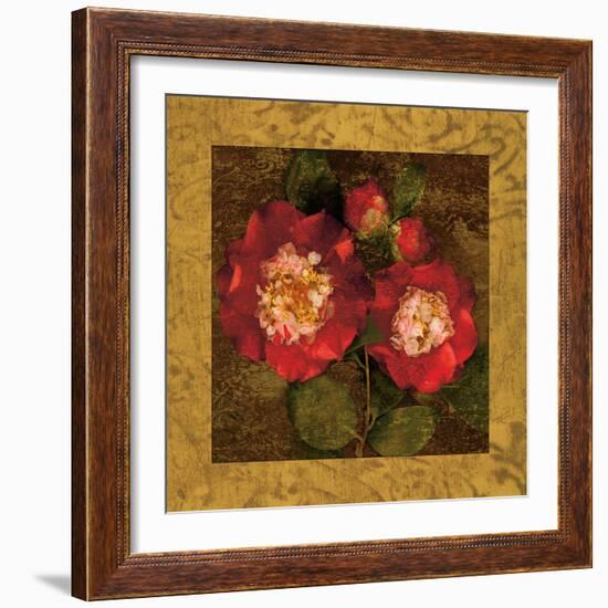 Red Camellias II-John Seba-Framed Premium Giclee Print