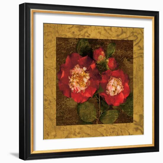 Red Camellias II-John Seba-Framed Premium Giclee Print
