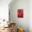 Red Candle and Baubles-Cora Niele-Giclee Print displayed on a wall