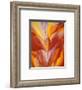 Red Canna-Georgia O'Keeffe-Framed Art Print