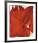 Red Cannas-Georgia O'Keeffe-Framed Art Print