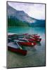 Red Canoes On Emerald Lake, British Columbia-George Oze-Mounted Photographic Print