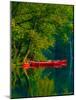 Red Canoes-Steven Maxx-Mounted Photographic Print