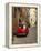 Red Car Parked in Narrow Street, Siena, Tuscany, Italy-Ruth Tomlinson-Framed Premier Image Canvas