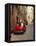 Red Car Parked in Narrow Street, Siena, Tuscany, Italy-Ruth Tomlinson-Framed Premier Image Canvas