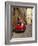 Red Car Parked in Narrow Street, Siena, Tuscany, Italy-Ruth Tomlinson-Framed Photographic Print