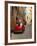 Red Car Parked in Narrow Street, Siena, Tuscany, Italy-Ruth Tomlinson-Framed Photographic Print