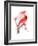 Red Cardinal, 2016-John Keeling-Framed Giclee Print