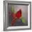 Red Cardinal I-Regina Moore-Framed Art Print