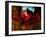 Red Cardinal Thai Temp-Daniel Stanford-Framed Art Print