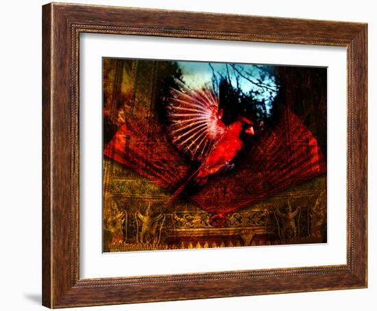 Red Cardinal Thai Temp-Daniel Stanford-Framed Art Print